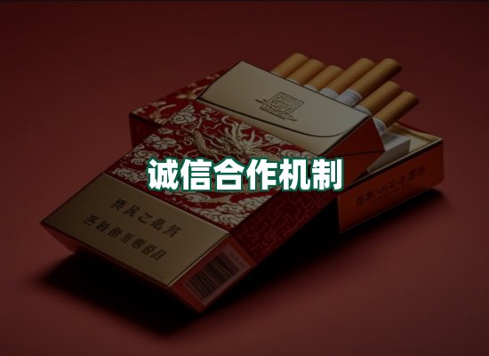 核心优势